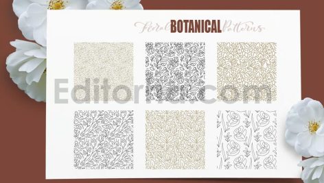 دانلود کالکشن لوگوی فلورال و بوتانیکال حرفه ای Floral Botanical Logo