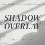 Floral Cat Shadows Overlay