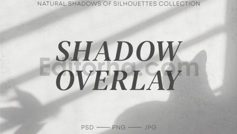 Floral Cat Shadows Overlay