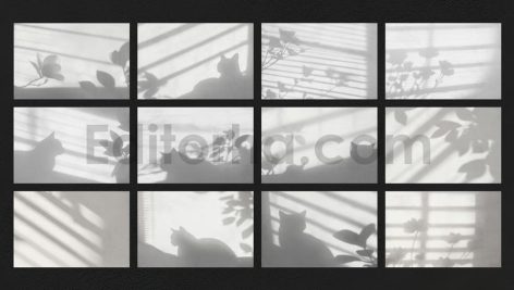 Floral Cat Shadows Overlay