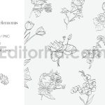 Floral Line Art & Botanical Clipart