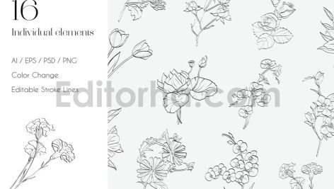 Floral Line Art & Botanical Clipart