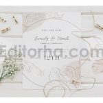 Floral Line Art & Botanical Clipart
