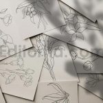 دانلود کالکشن لاین آرت گل ها با طراحی خطی ظریف Floral Vector Line Art
