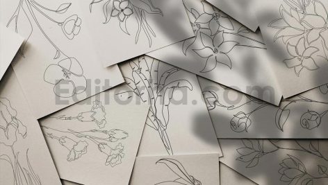 دانلود کالکشن لاین آرت گل ها با طراحی خطی ظریف Floral Vector Line Art