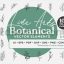 Line Art Botanical Vector Elements