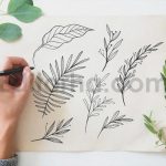 Line Art Botanical Vector Elements