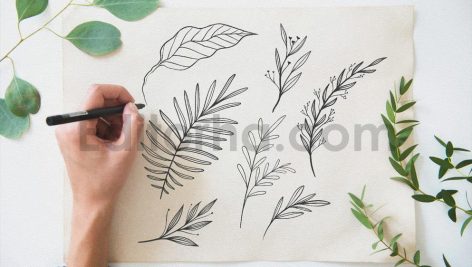 Line Art Botanical Vector Elements