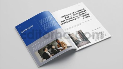 Business Proposal Template Vol.5