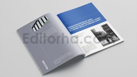 Business Proposal Template Vol.5