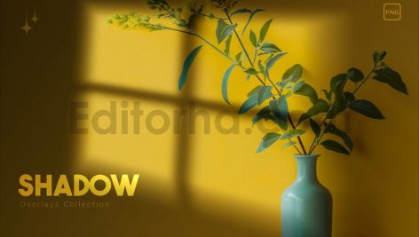 17 Realistic Shadow Overlays Collection