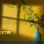 17 Realistic Shadow Overlays Collection
