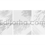 Botanical Shadow Overlays