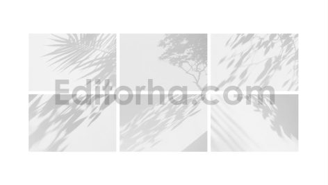Botanical Shadow Overlays