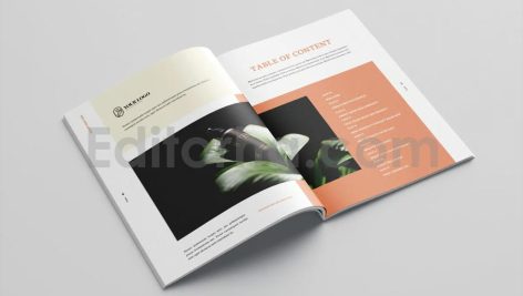 Skincare Brochure Vol.29