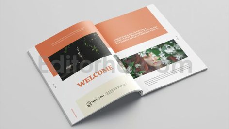 Skincare Brochure Vol.29