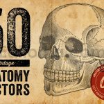 Vintage Anatomy Vectors