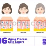 Skin Aging Process Structure and Woman Face Change