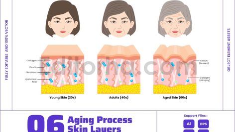Skin Aging Process Structure and Woman Face Change