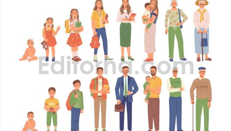 Human life cycle, man woman people different age