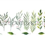 Spring watercolor illustration with leaves, branch