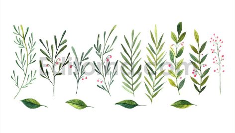 Spring watercolor illustration with leaves, branch