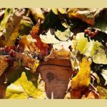Autumn Leaves Unveil