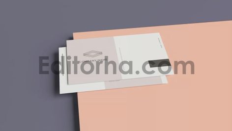 Clean Business Card Mock Up5