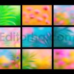 Garden Mist Backgrounds