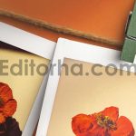 Hanging Polaroid Photos Mockup3