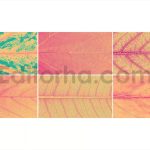 Heatmap Leaves Backgrounds