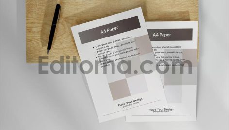 High Quality Letterhead Mockup5