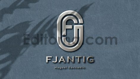 Logo Mockup Wall2