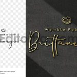 Logo Mockup Wall3