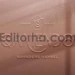 Logo Wall Mockup4