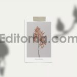 Polaroid Photo Mockup2