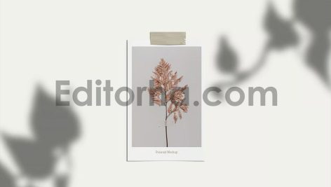 Polaroid Photo Mockup2
