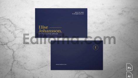 Professional Business Card1