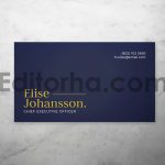 Professional Business Card2