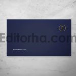 Professional Business Card3