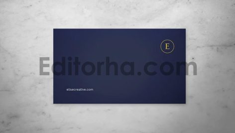 Professional Business Card3