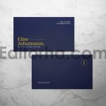 Professional Business Card4