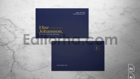 Professional Business Card4