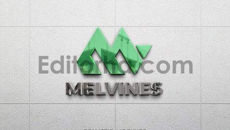 Realistic Mockup Logo 3D Reflection 4