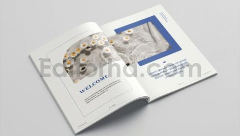 Skincare Brochure Vol.40