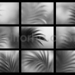 Soft Gradient Shadow Backgrounds