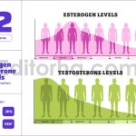 Estrogen Testosterone Hormone Level Chart Diagram