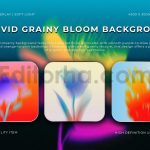 Vivid Grainy Bloom Backgrounds