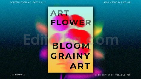 Vivid Grainy Bloom Backgrounds