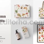 Autumn season illustration and pattern